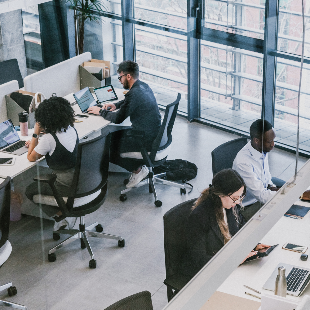 People working at computers in an office environment