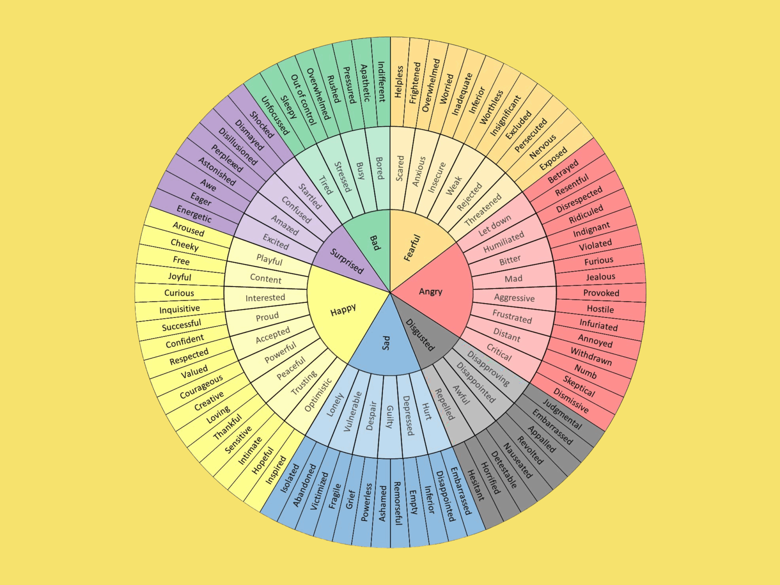 A wheel filled with different emotions starting with high level emotions at the centre then two more circles of more detailed emotions.